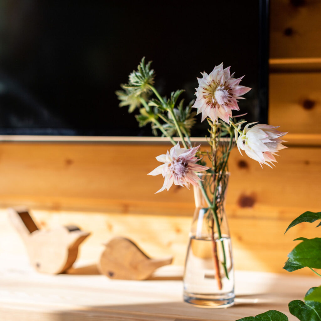 AUSZEIT IN DER NATUR - WALD(H)AUSZEIT - Waldhaus und Zirbenholz Tiny House in Mücke